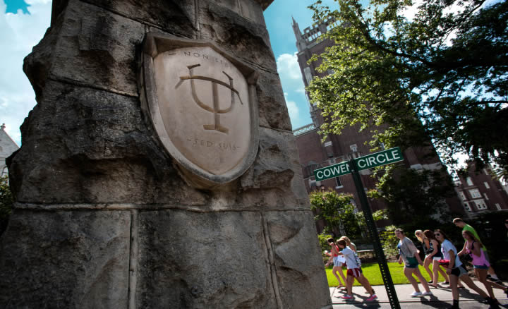 Tulane shield on wall